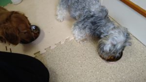 朝のお時間　2022/8/13