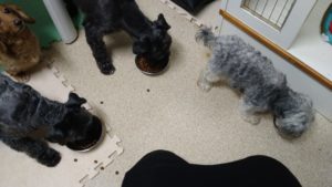 夜の時間　2022/8/13