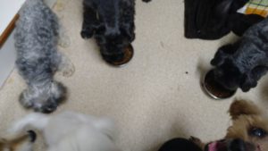 夜のお時間 2022/8/14