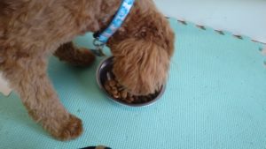 朝のお時間　2022/8/15