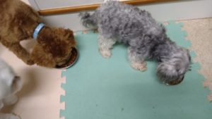 夜のお時間　2022/8/15