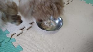 朝のお時間　2022/9/2