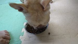 午前のお時間　2022/9/8