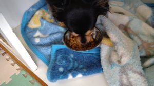 朝のお時間　2022/9/9