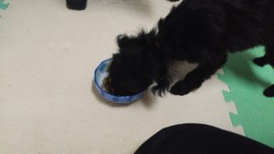 夜のお時間　2022/9/14