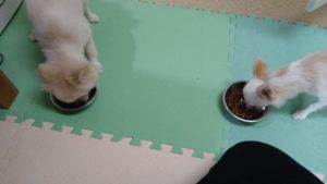 朝のお時間　2022/9/19