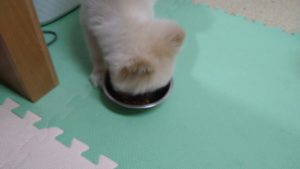 朝のお時間　2022/9/20