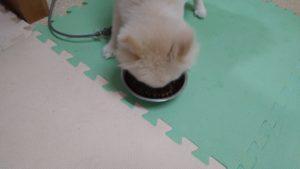 朝のお時間　2022/9/29