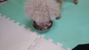 朝のお時間　2022/9/30