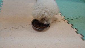 夜のお時間　2022/9/30