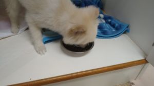 朝のお時間　2022/10/1