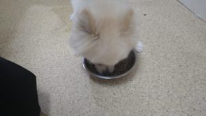 朝のお時間　2022/10/4