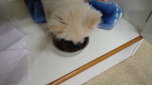 午前のお時間　2022/10/5