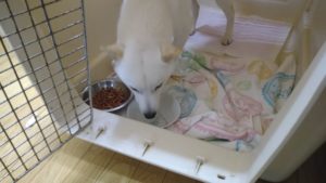 夜のお時間　2022/10/11