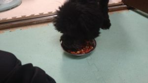 夜のお時間　2022/10/12