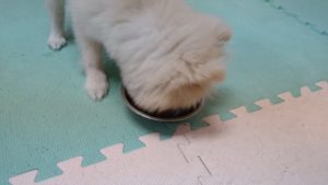 夜のお時間　2022/10/15