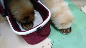 夜のお時間　2022/10/16