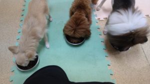 午前のお時間　2022/10/19