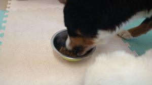 午前のお時間　2022/10/20