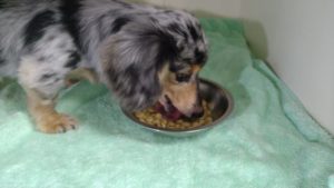 午前のお時間　2022/10/21