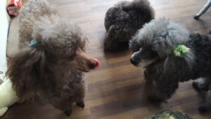 午前のお時間　2023/3/24