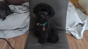 朝のお時間ですよ　2023/3/25