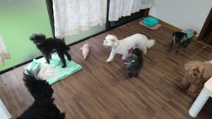 午前のお時間　2023/3/26