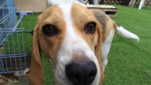 酒々井近郊のペットホテルセカンドファミリー／朝のお時間　2023年3月30日