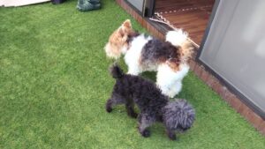 朝のお時間　2023/4/3