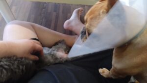 成田空港近郊のペットホテルセカンドファミリー／朝のお時間　2023年4月9日