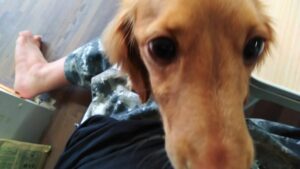 印西市近郊のペットホテルセカンドファミリー／朝のお時間　2023年4月12日