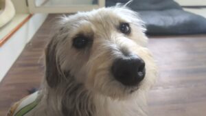 朝のお時間　2023/4/14