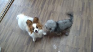 朝のお時間　2023/4/28