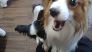 午前のお時間　2023/5/10