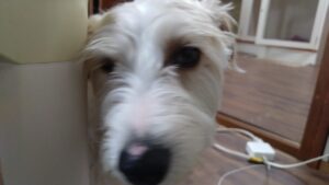 朝のお時間　2023/5/23