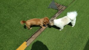 朝のお時間　2023/5/27