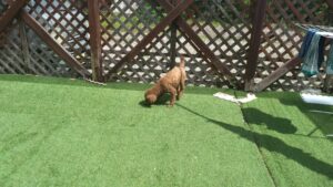 朝のお時間　2023/5/28