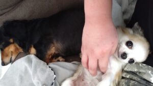 朝のお時間　2023/6/14