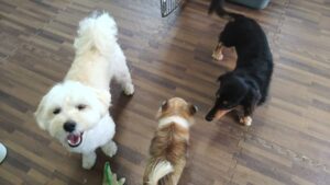 朝のお時間　2023/6/18