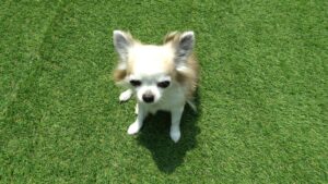 午前のお時間　2023/6/19