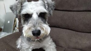 夜のお時間　2023/7/11