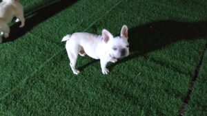 夜のお時間　2023/7/23