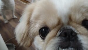 夜のお時間　2023/7/24