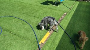 朝のお時間　2023/7/28