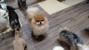 夜のお時間　2023/8/23