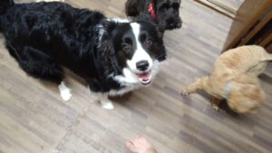 夜のお時間　2023/8/27