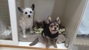 夜のお時間　2023/8/15