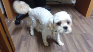 夜のお時間　2023/8/16