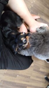 午前のお時間　2023/8/17