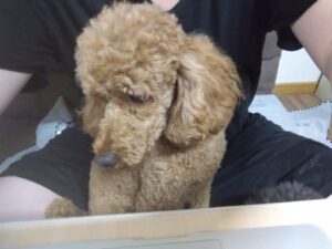 夜のお時間　2023/8/1